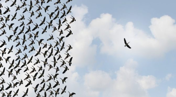 Is data a promise or a peril? 3 things really matter Blog Is data a promise or a peril? 3 things really matter cover photo
